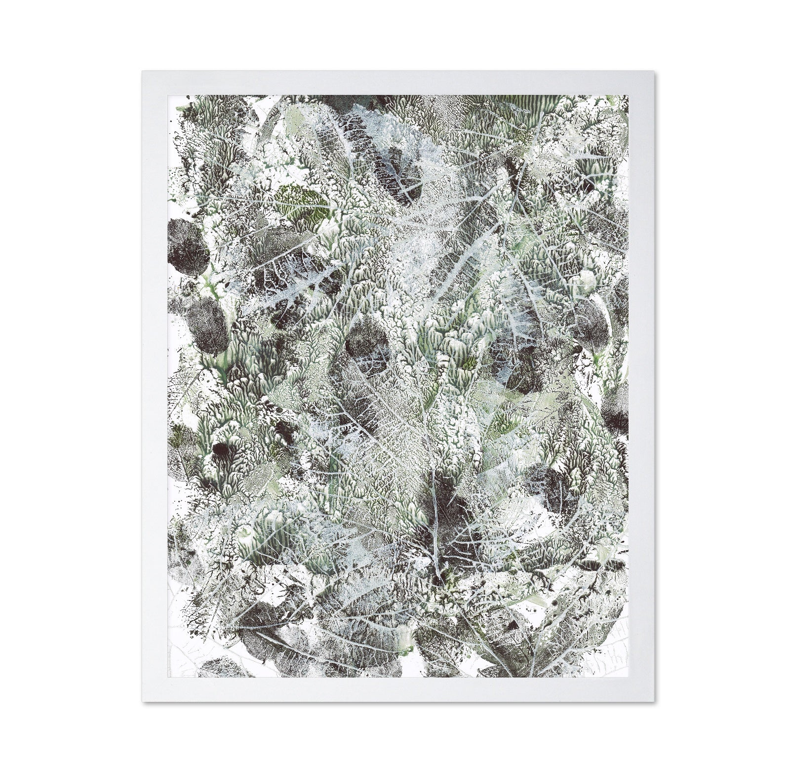 Botanical Texture No3