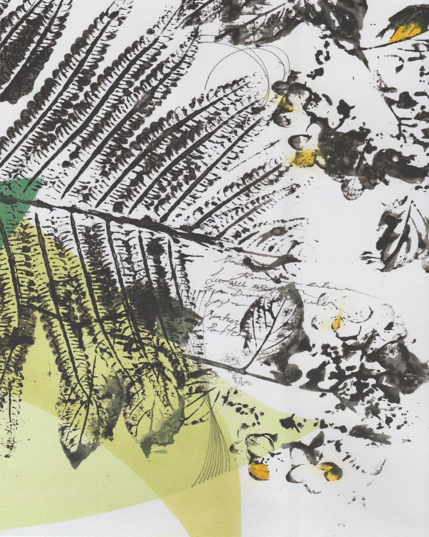 Botanical Sketch