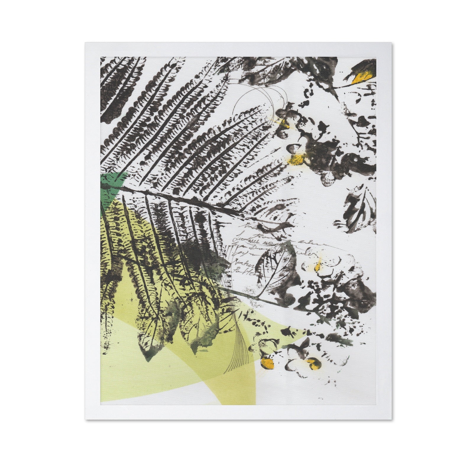 Botanical Sketch