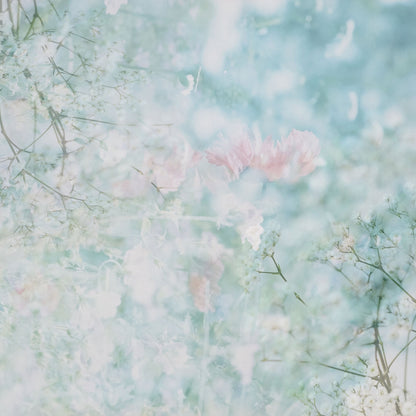Soft Spring Bloom
