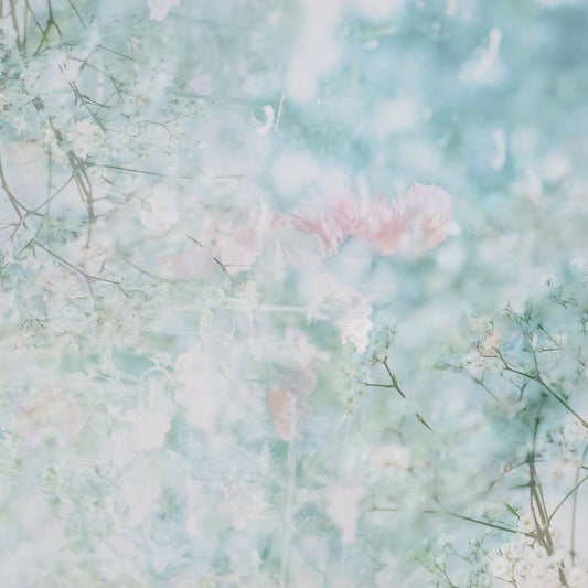 Soft Spring Bloom