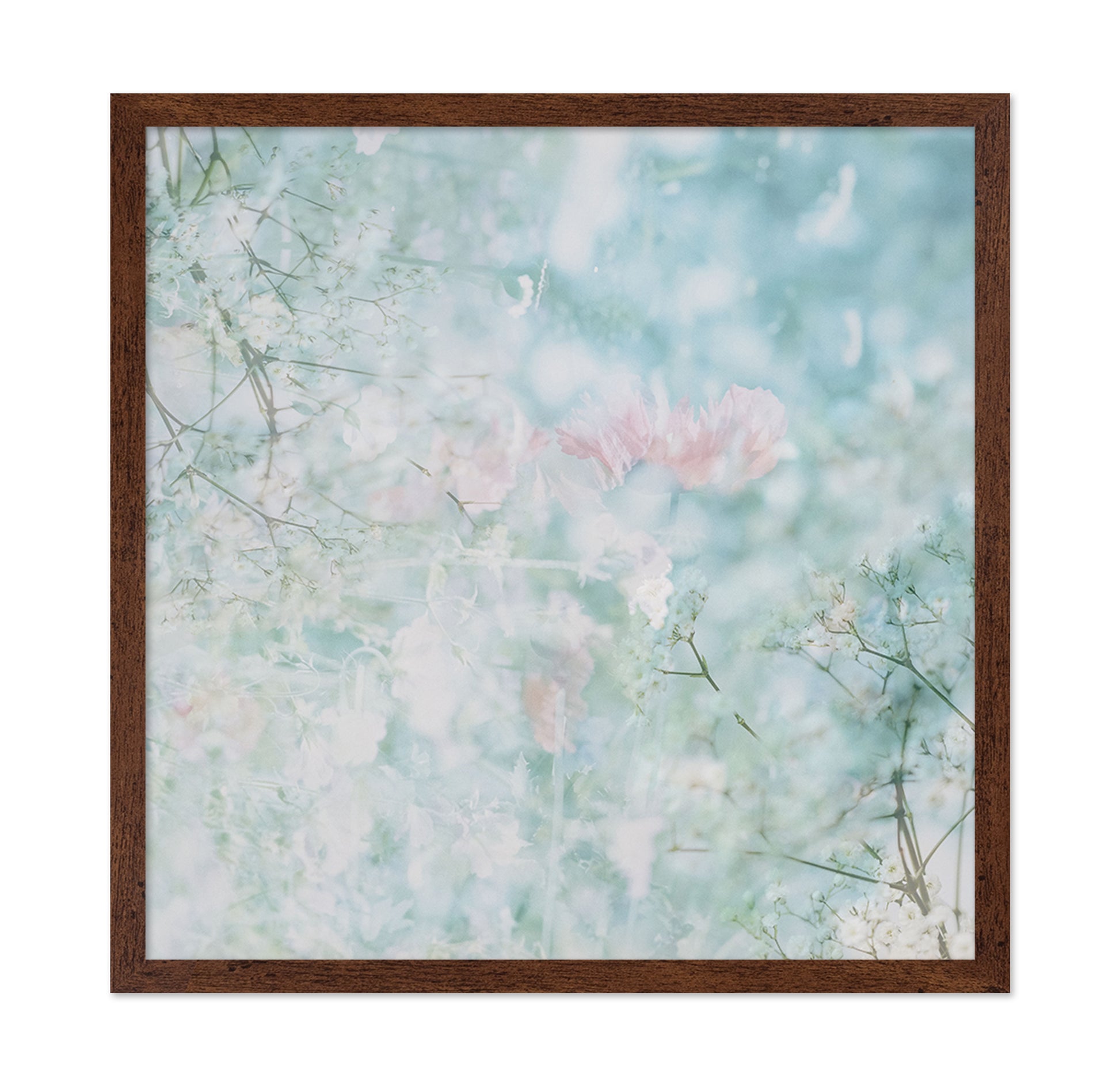 Soft Spring Bloom