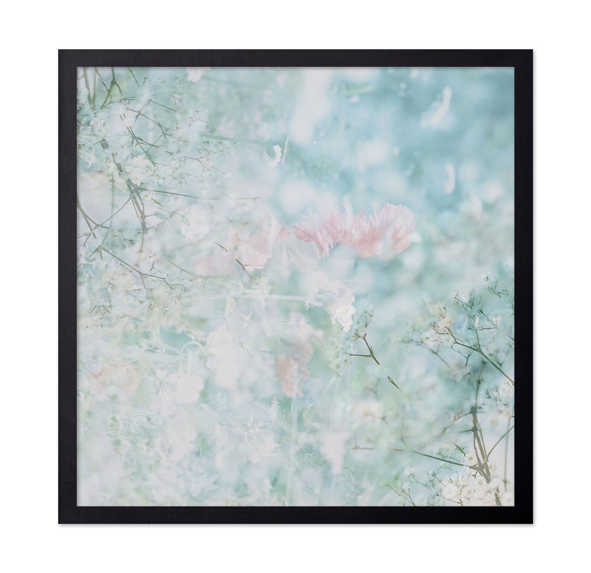 Soft Spring Bloom