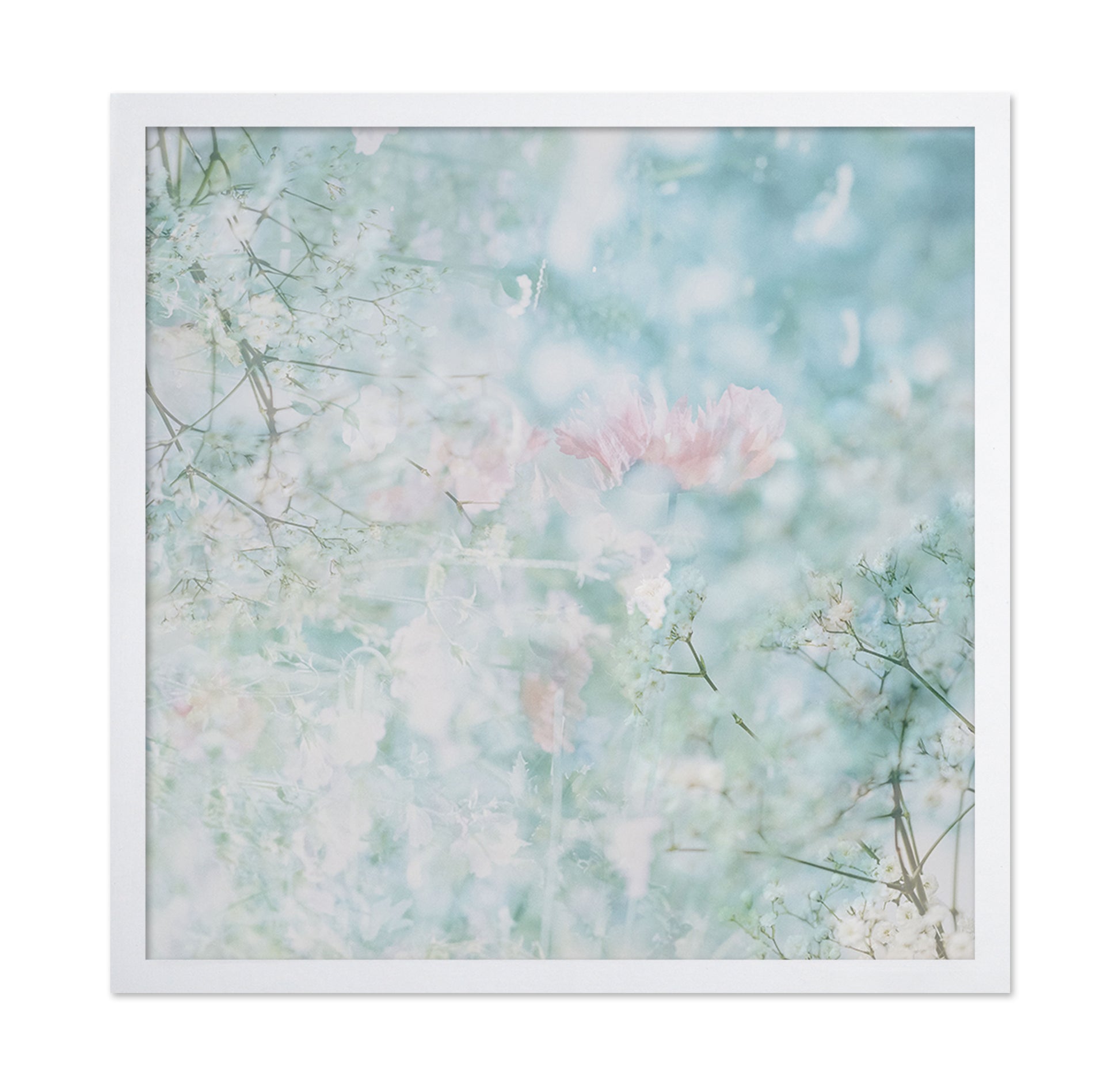 Soft Spring Bloom