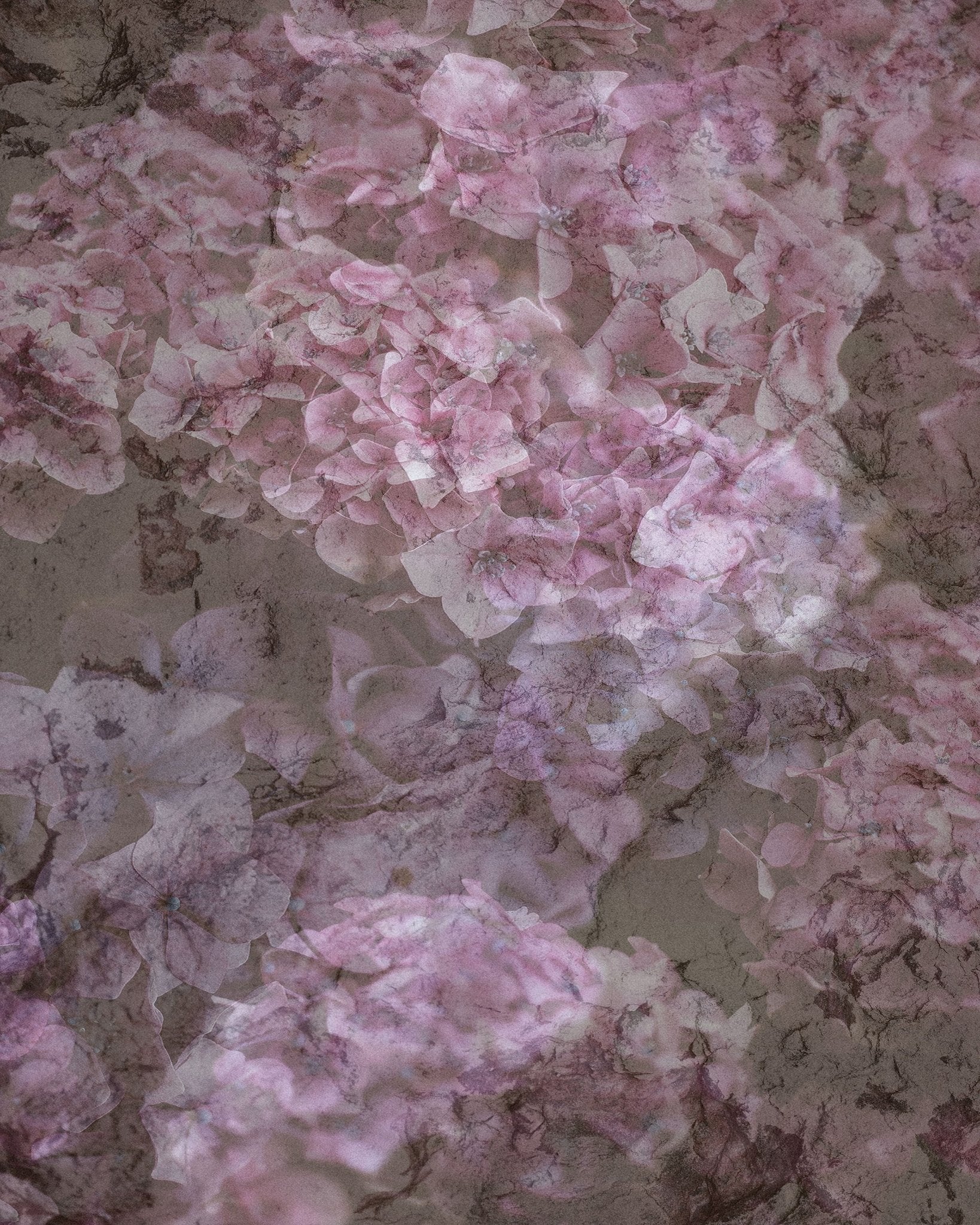 Blush Bloom