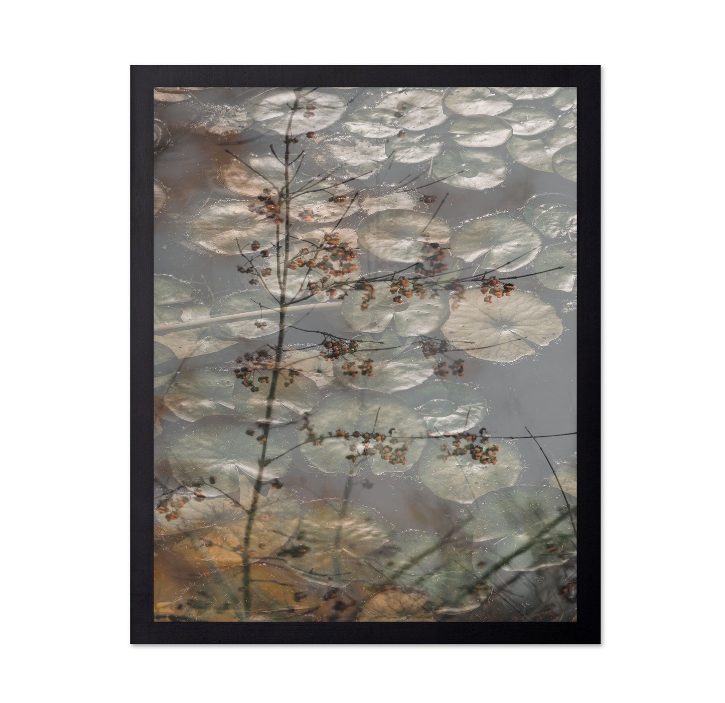 Quiet Pond