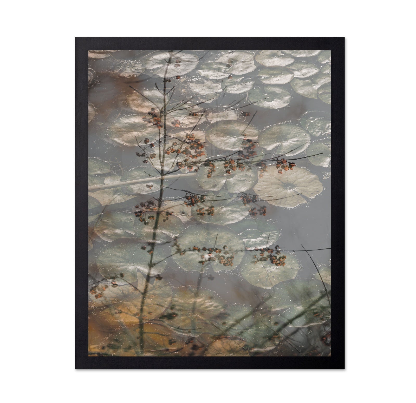 Quiet Pond