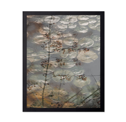Quiet Pond