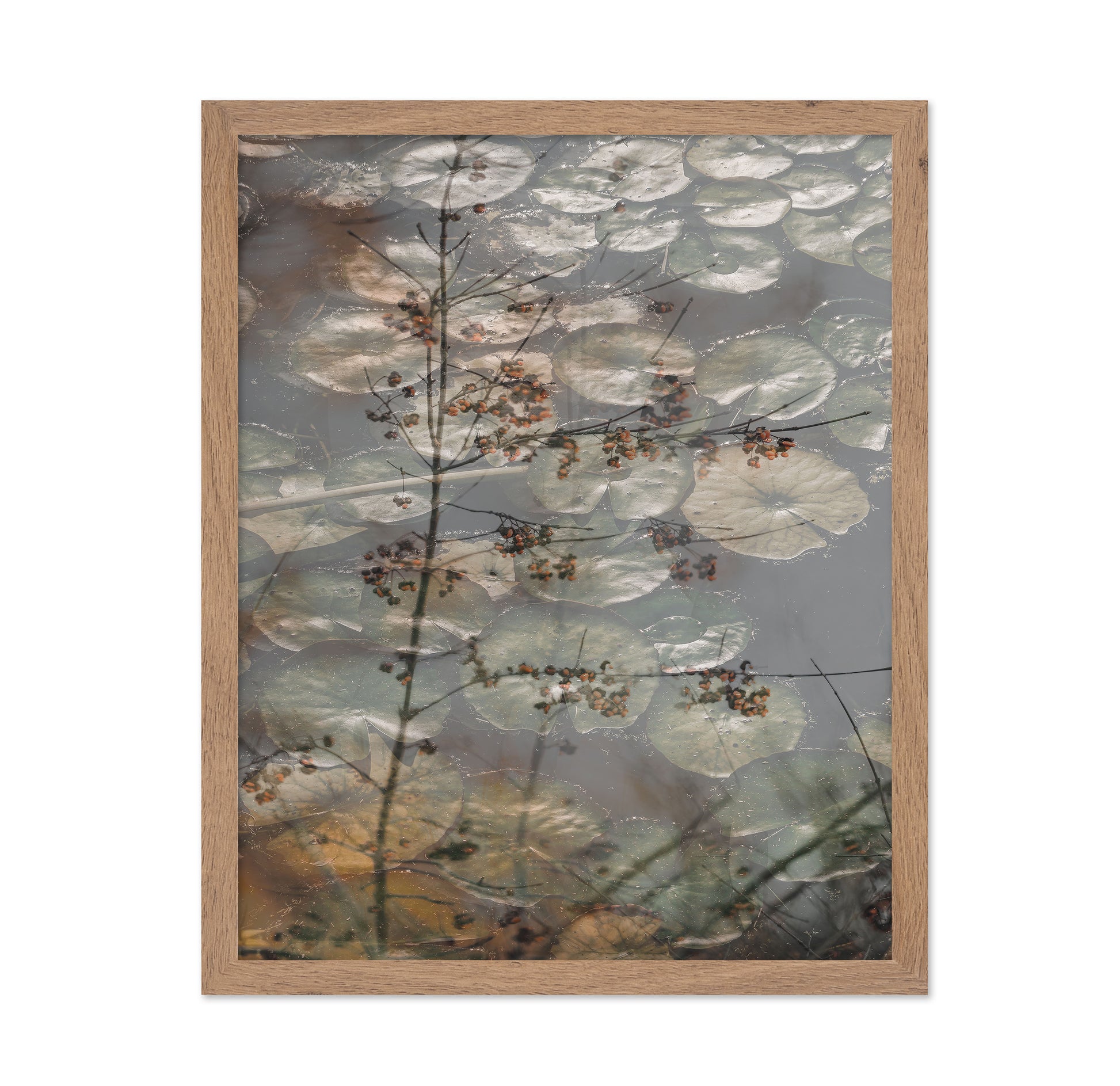 Quiet Pond