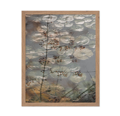 Quiet Pond