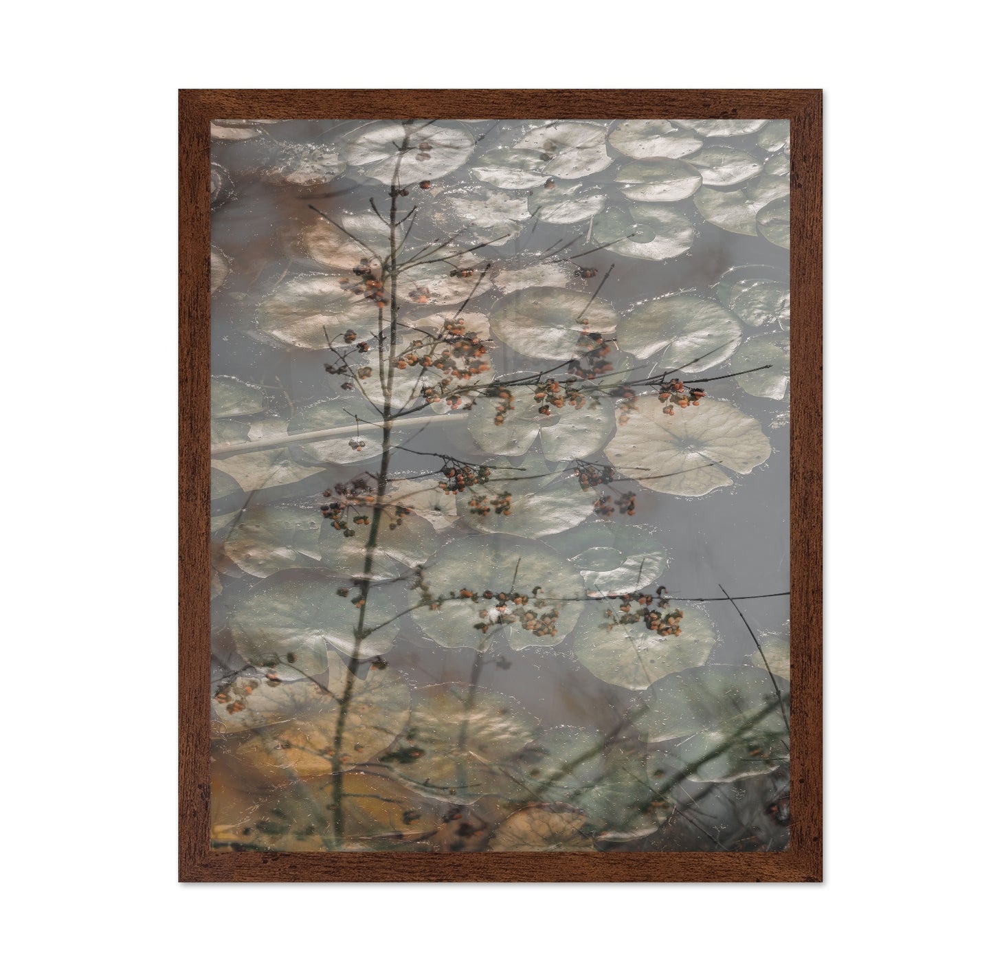 Quiet Pond