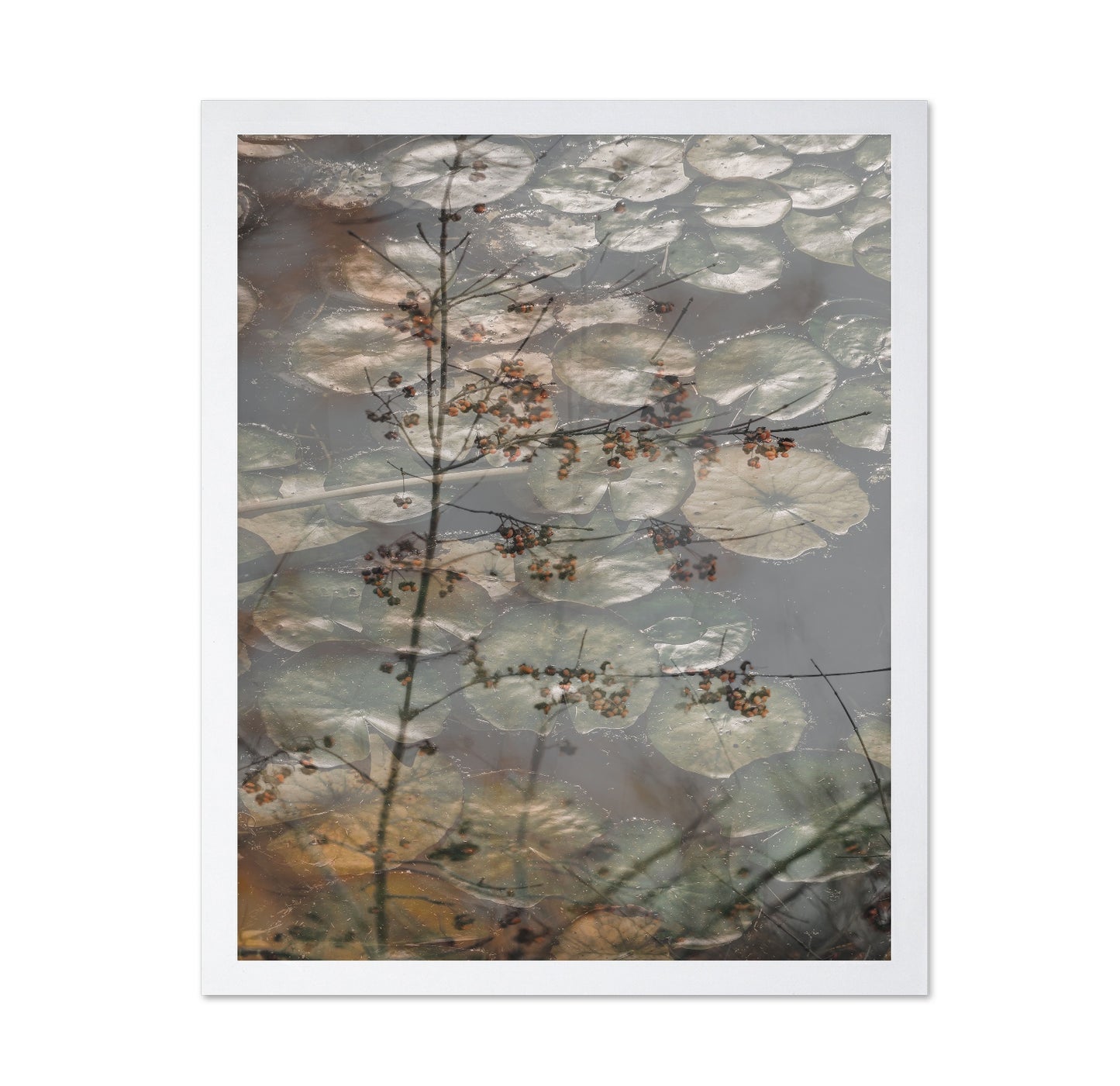 Quiet Pond