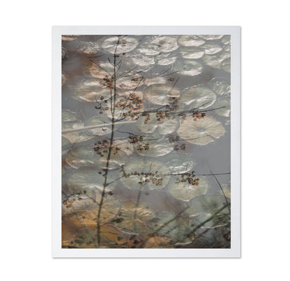 Quiet Pond