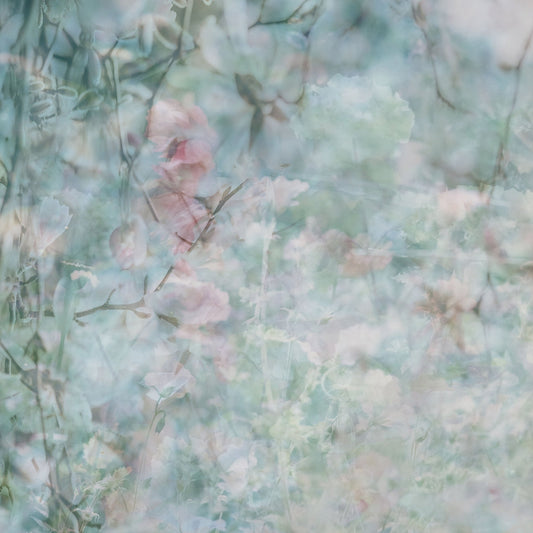 Soft Bloom