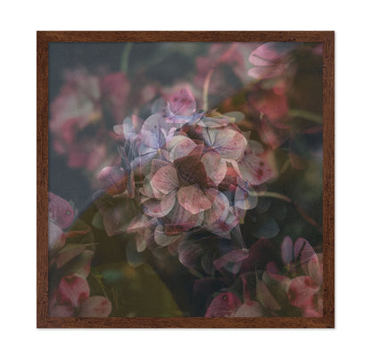 Dusky Bloom