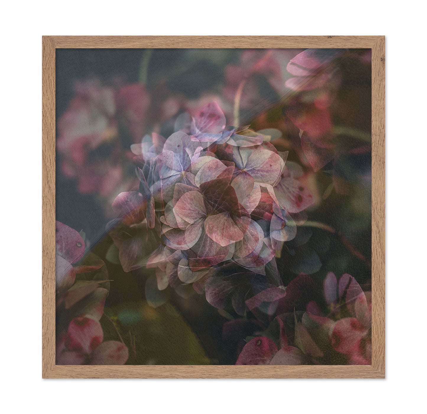 Dusky Bloom