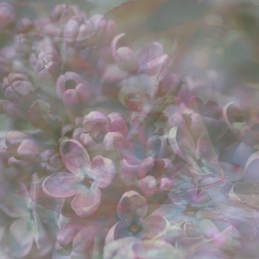 Soft Pastel Blossoms