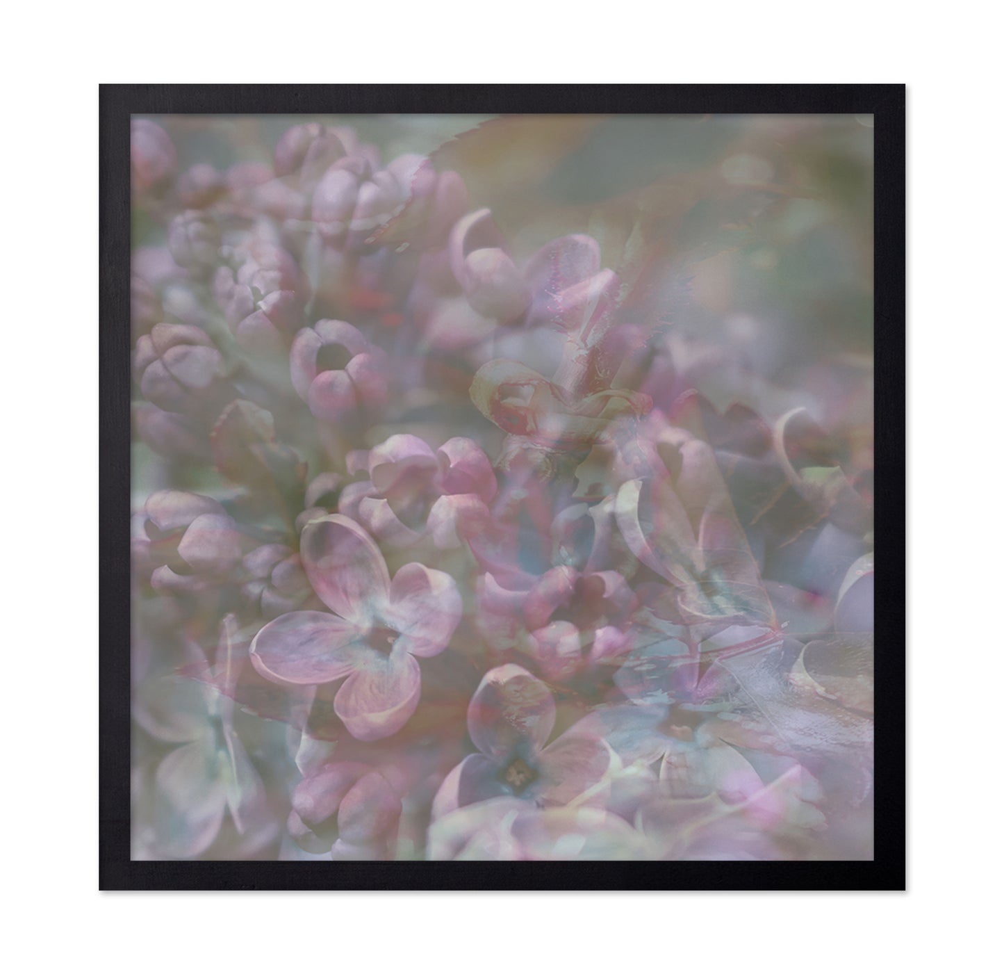 Soft Pastel Blossoms