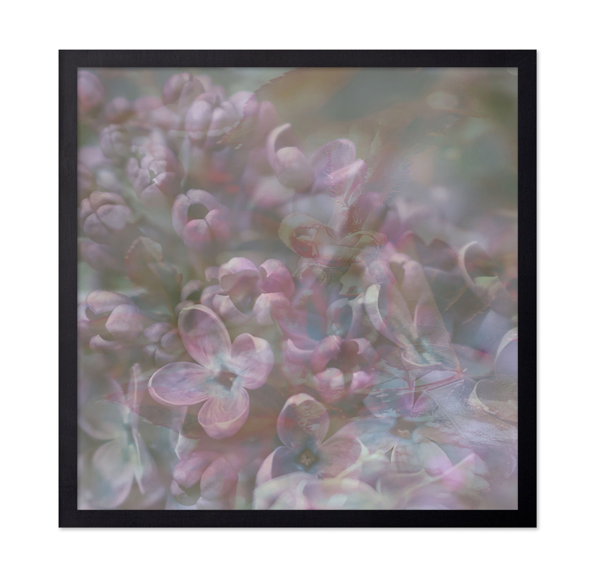 Soft Pastel Blossoms