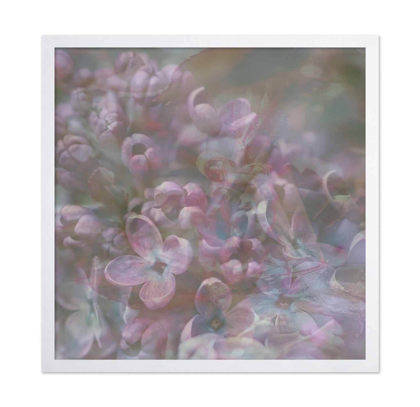 Soft Pastel Blossoms