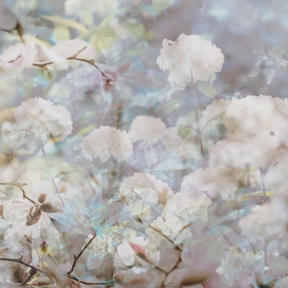 Soft Spring Blossoms No2