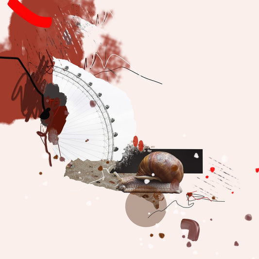 Urban Snail Collage