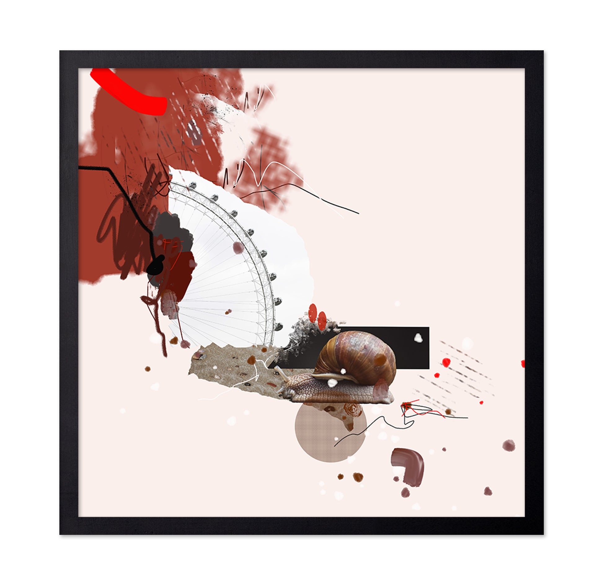 Urban Snail Collage