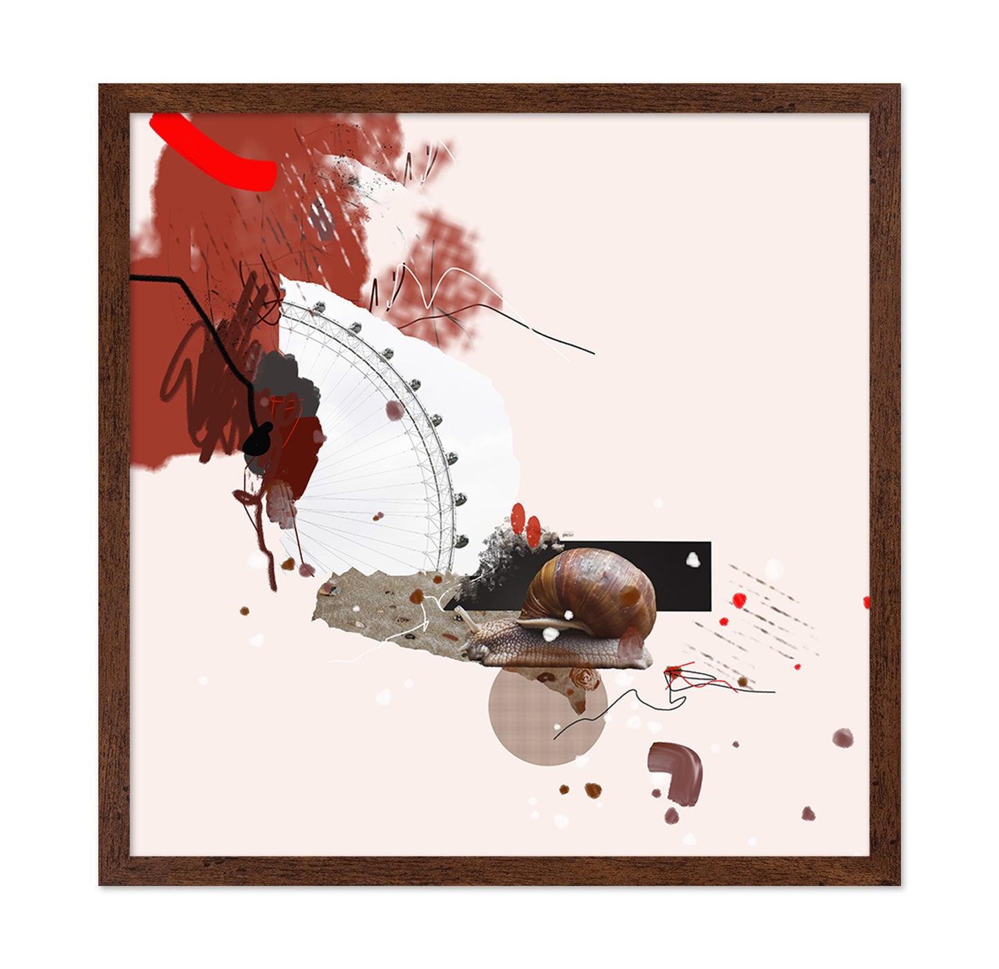 Urban Snail Collage