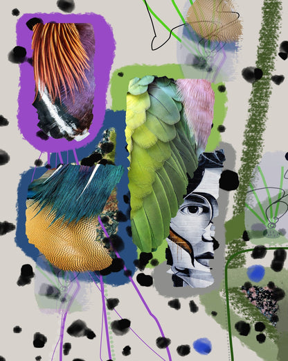 Color Texture Collage