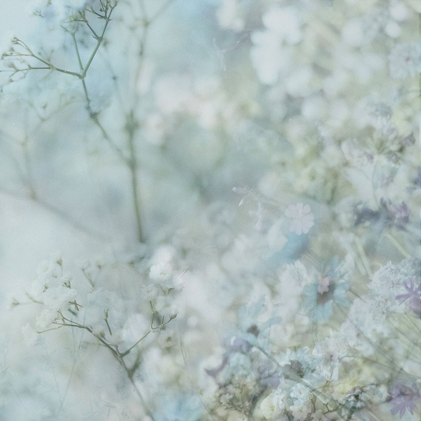 Soft Spring Mist