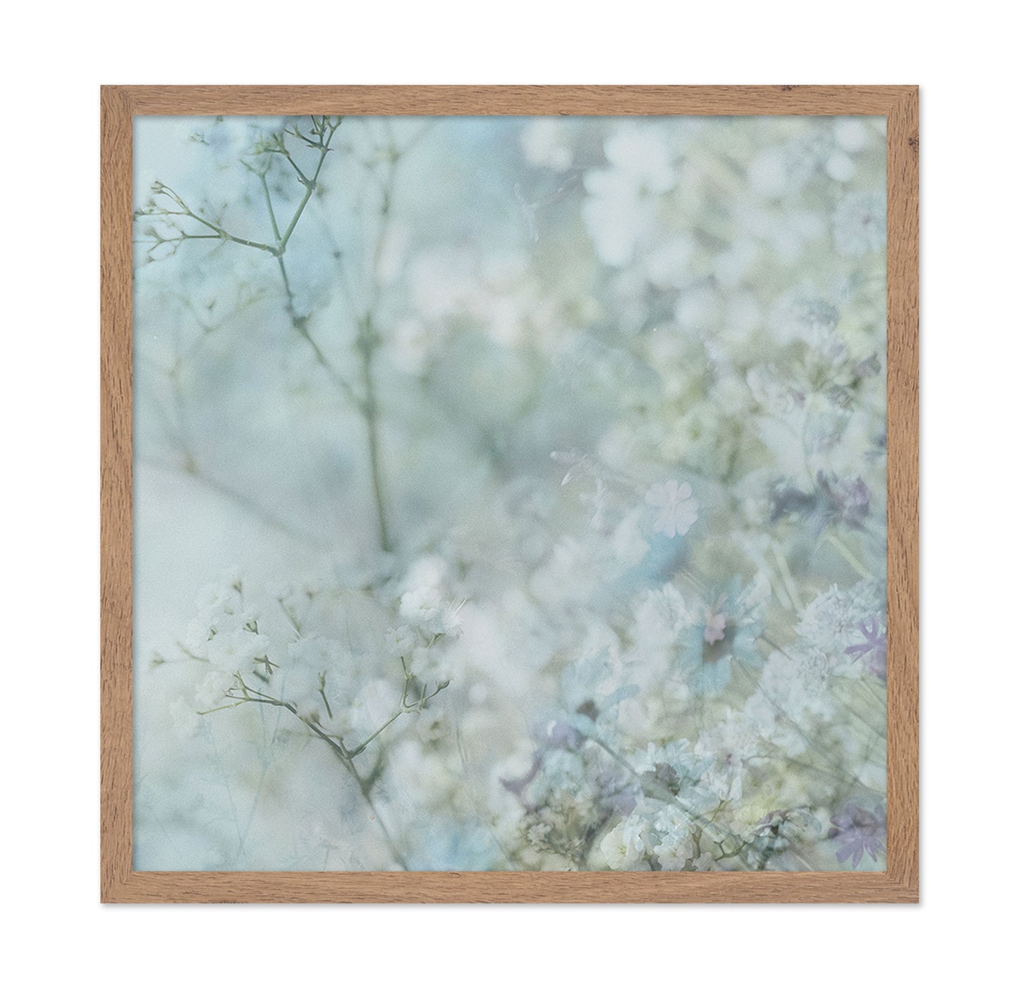 Soft Spring Mist