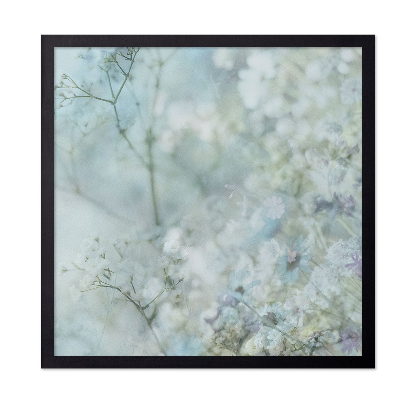 Soft Spring Mist