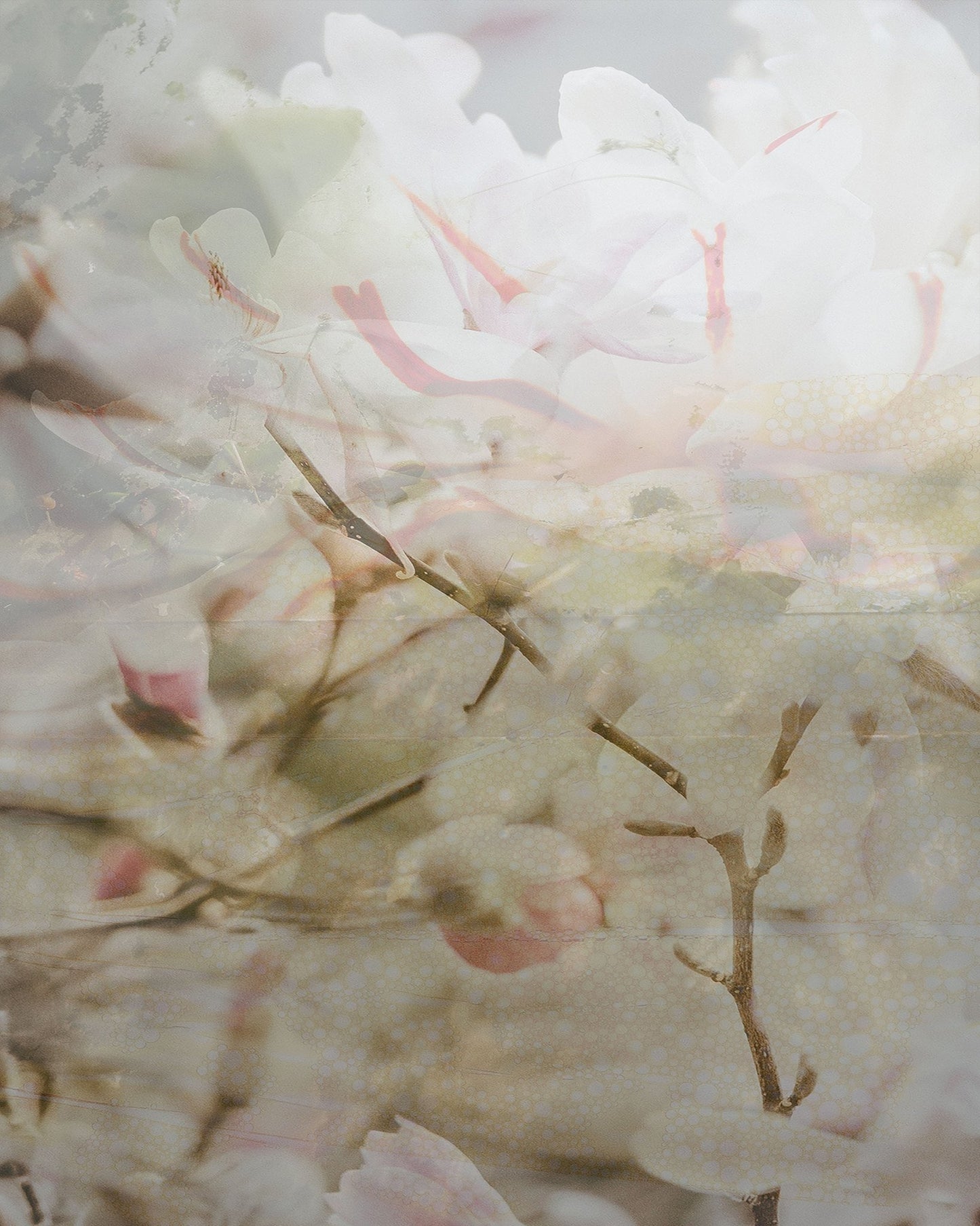 Vintage Spring Bloom No1