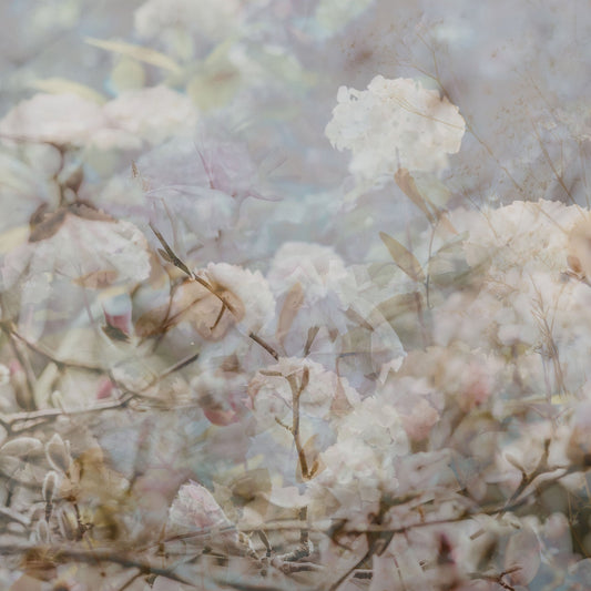 Soft Spring Layers
