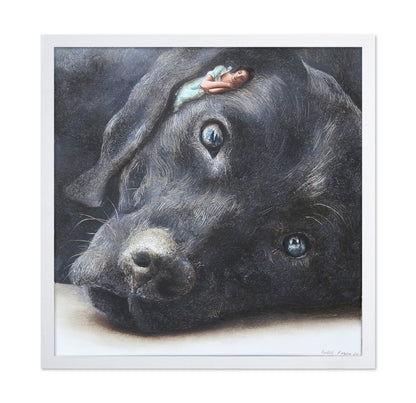 Dreaming With Dog