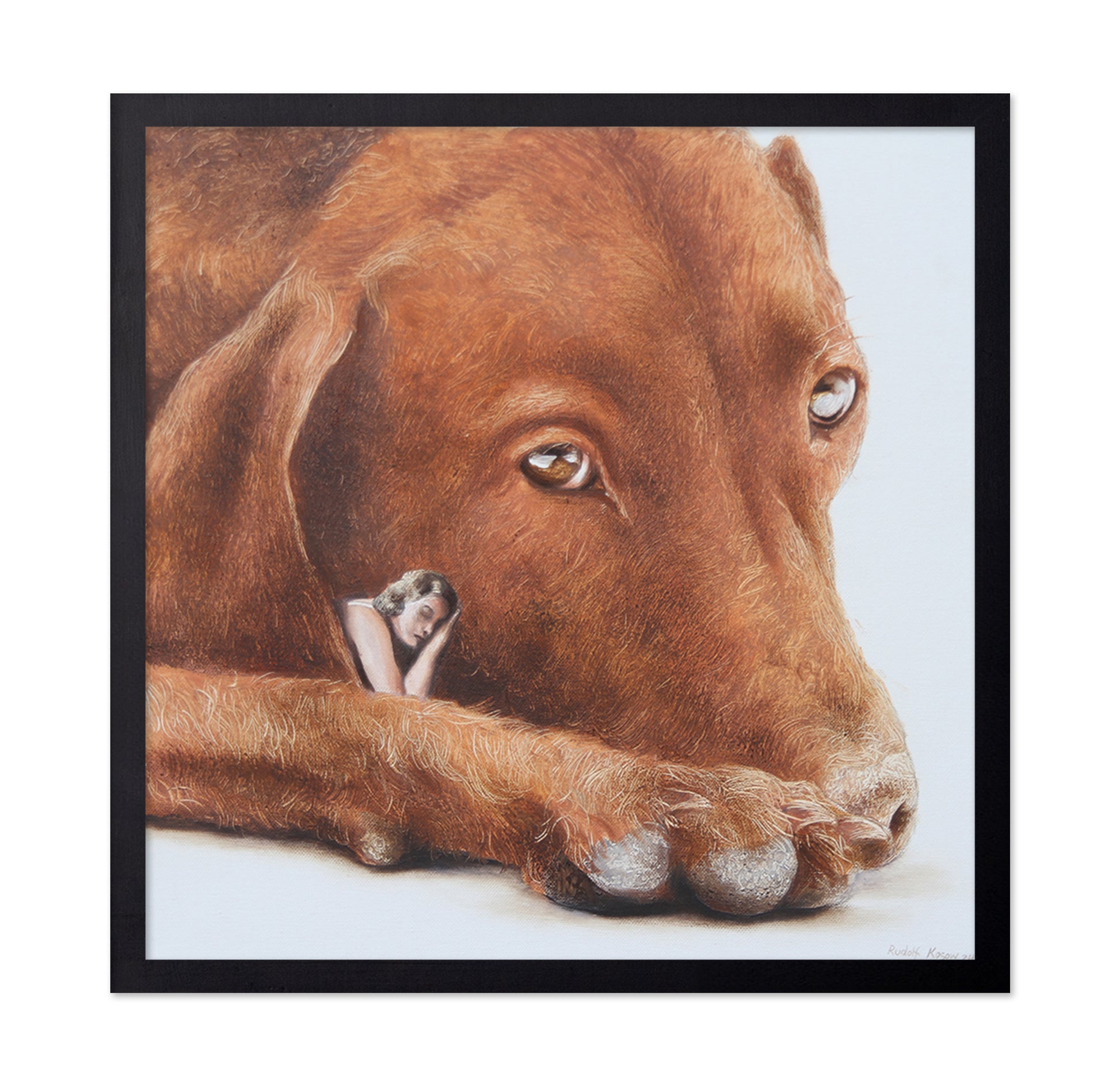 Soulmate Dog