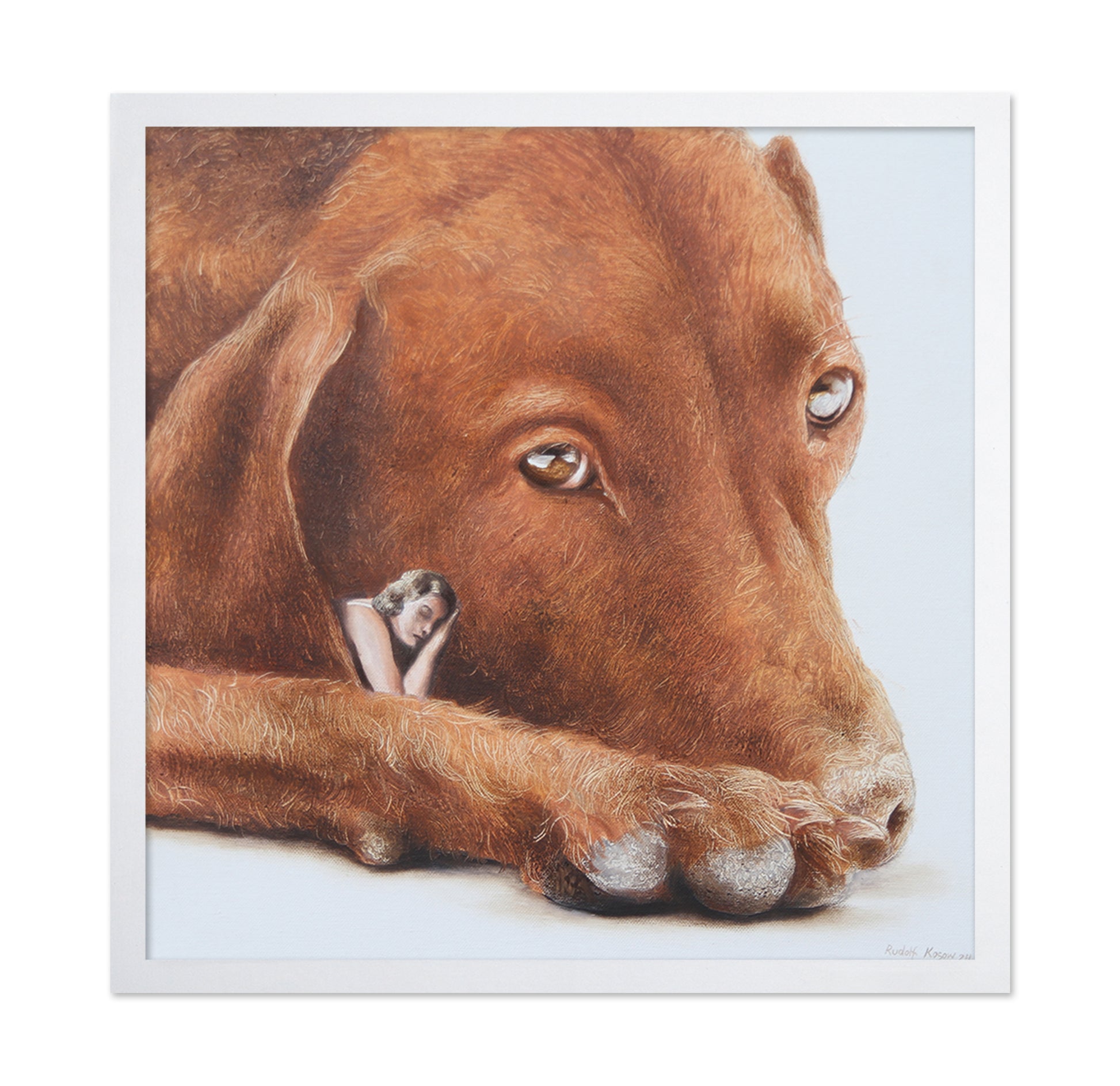 Soulmate Dog