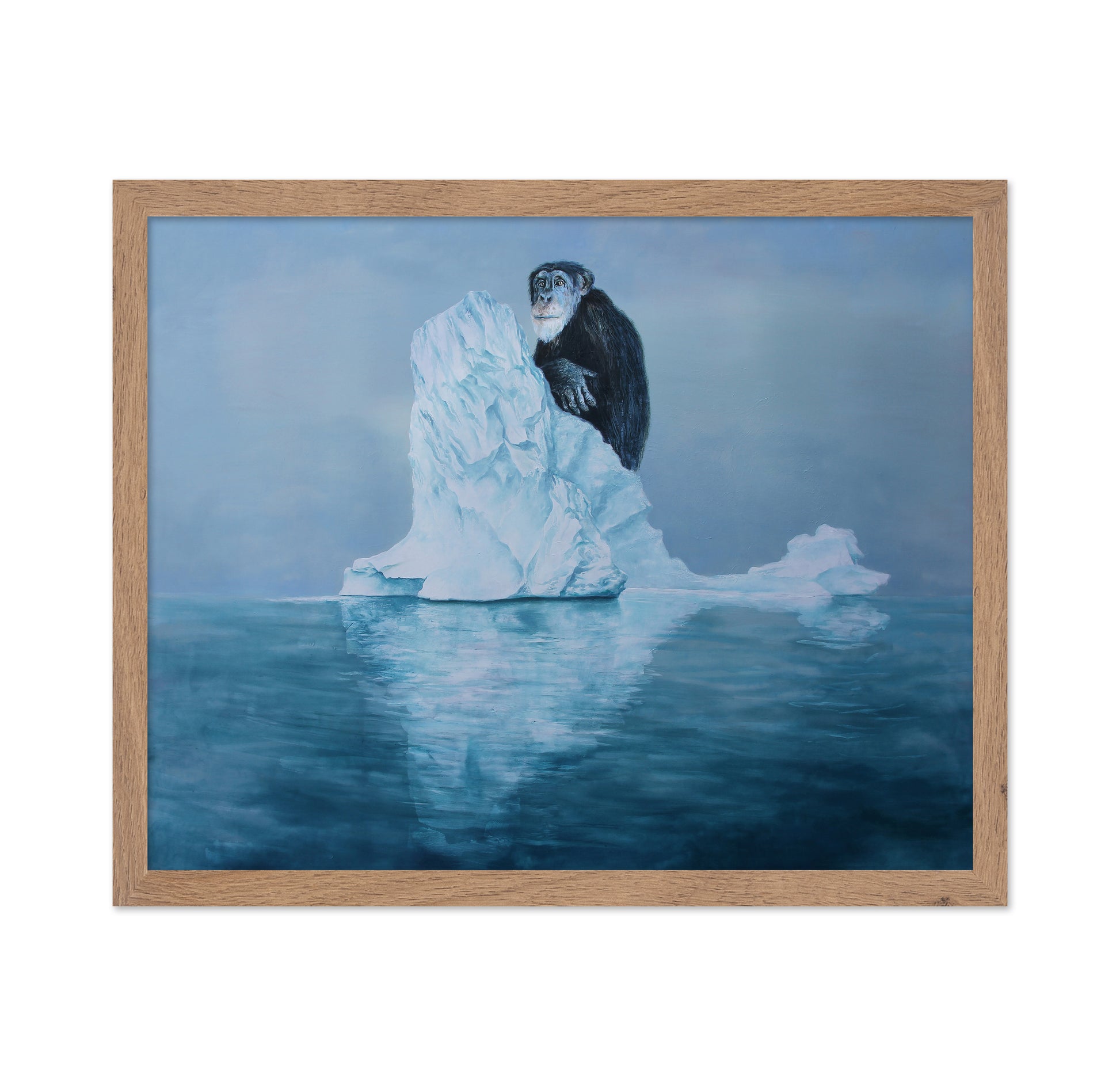 Lonely Ice Monkey