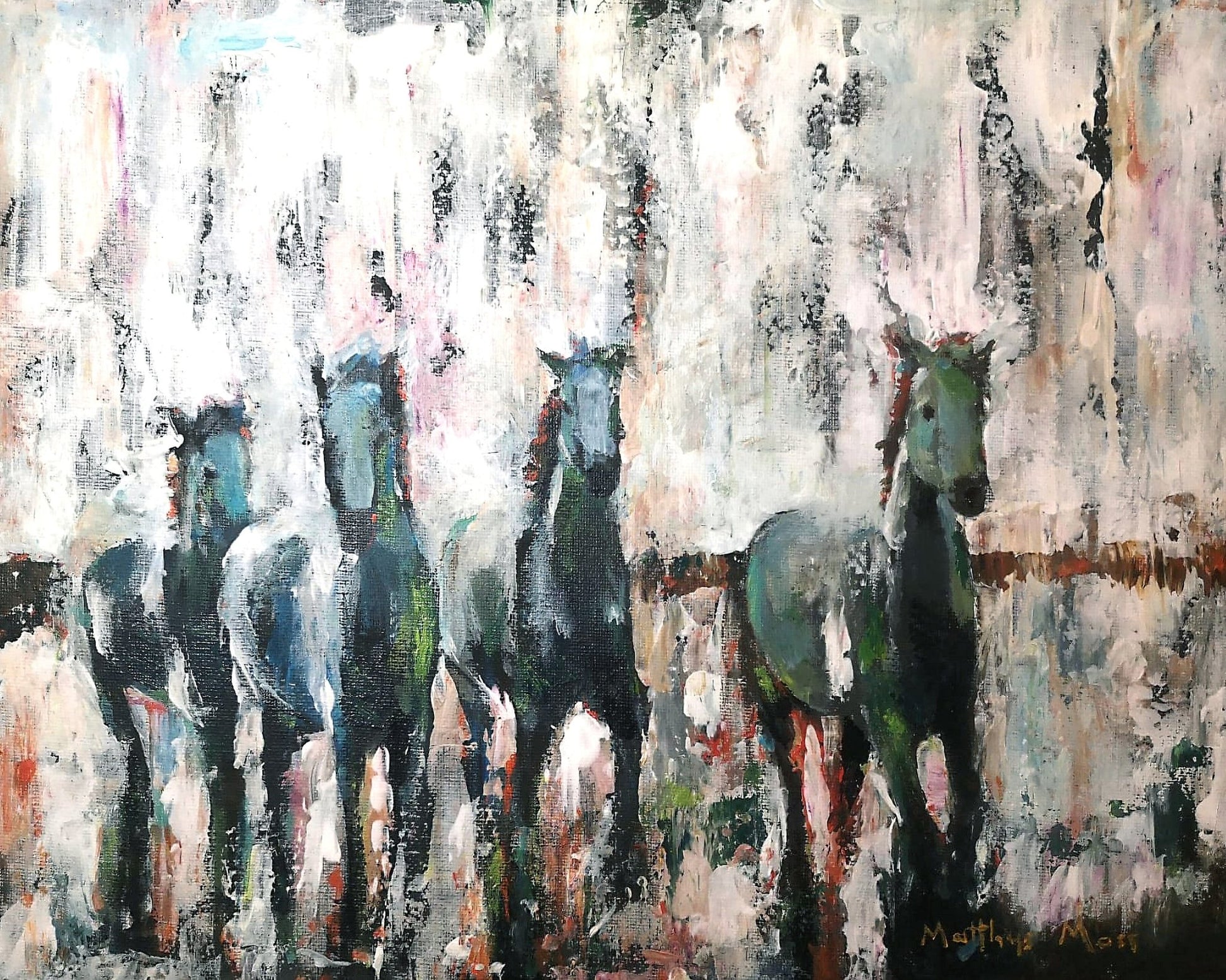 Freedom Horses