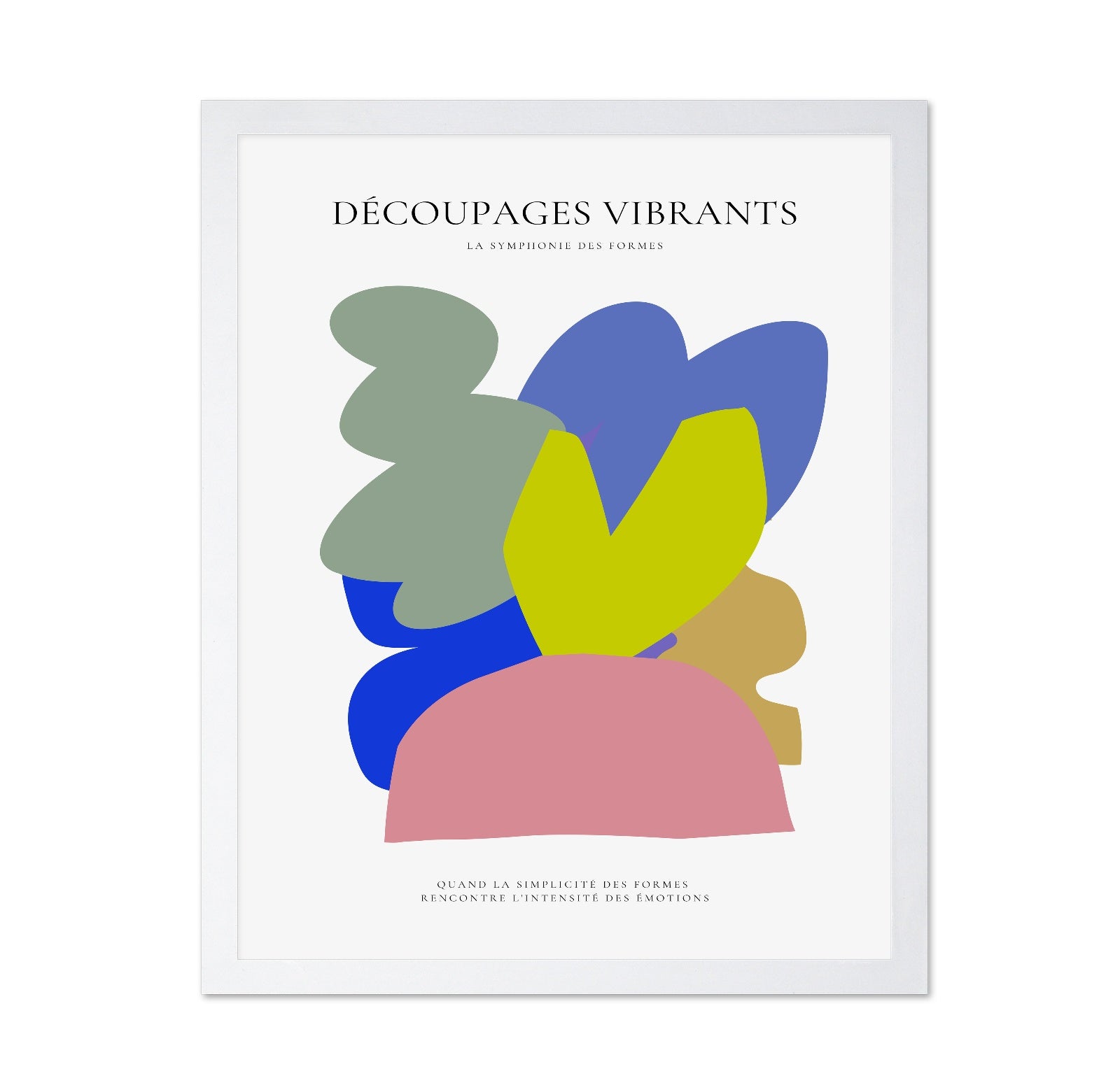 Vibrant Shape Harmony