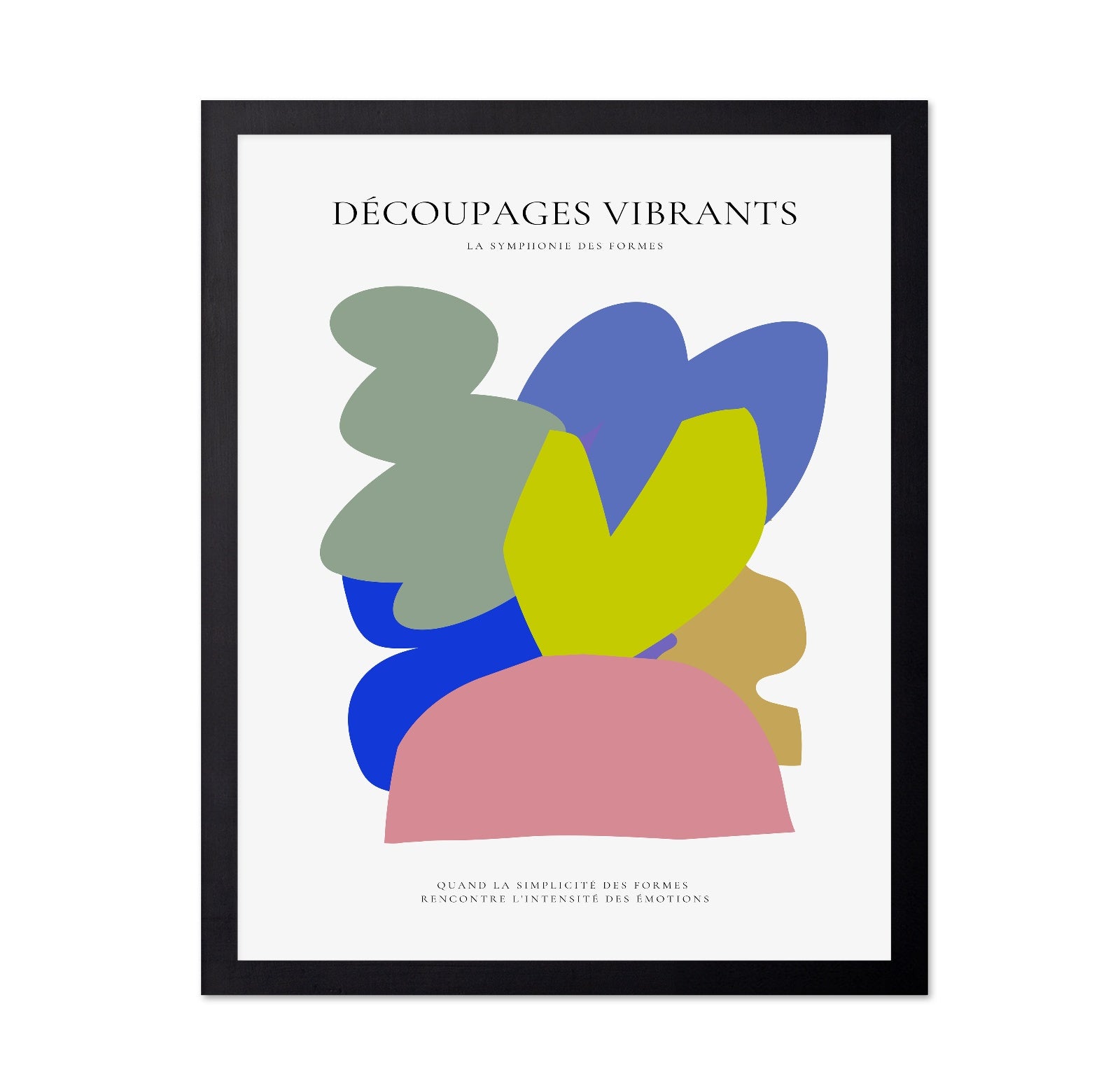 Vibrant Shape Harmony