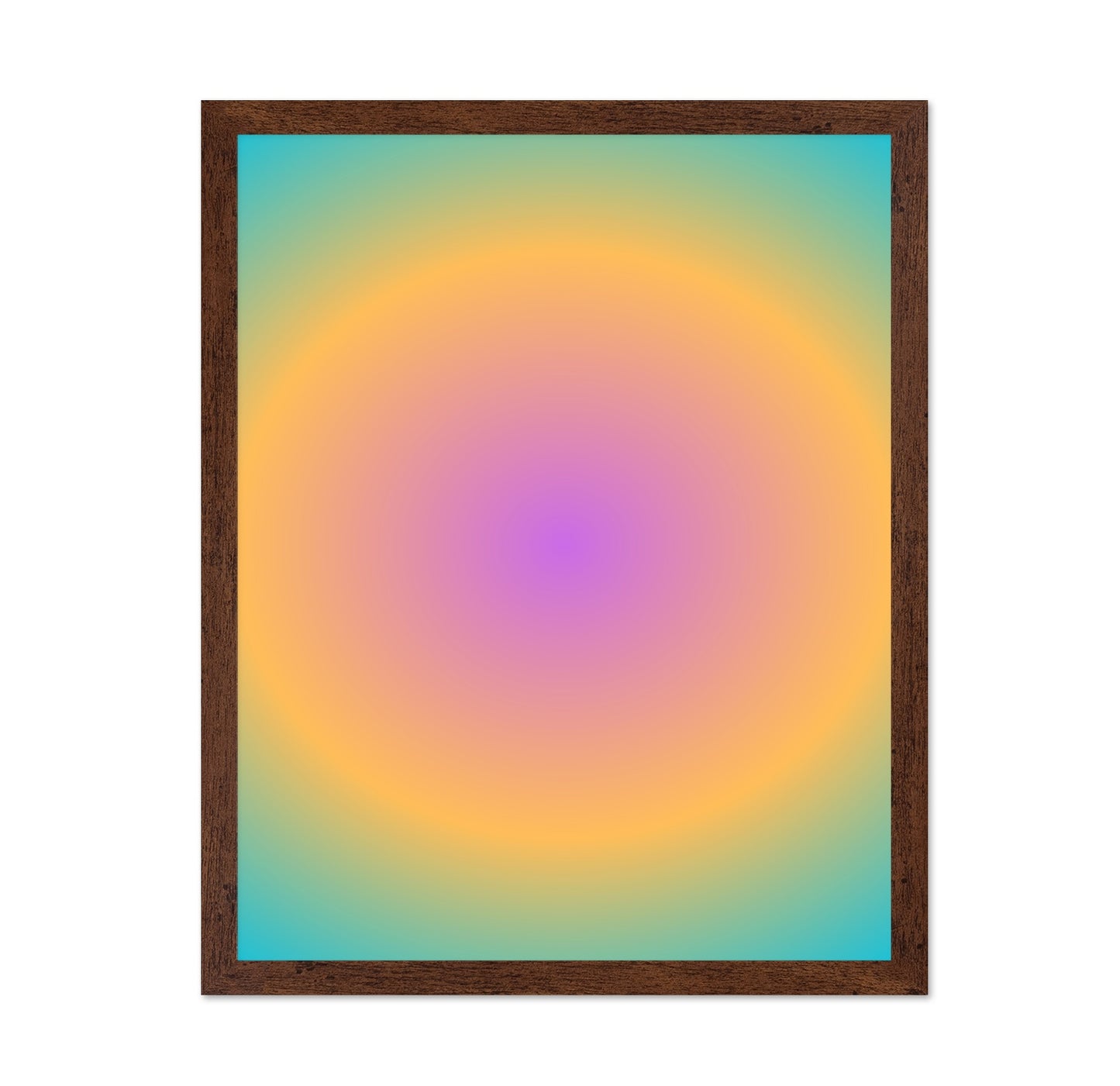 Soft Color Echo