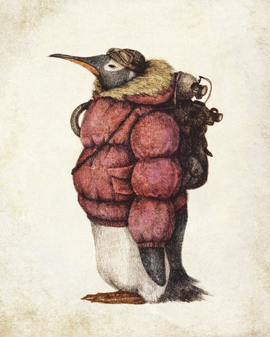 Adventurer Penguin