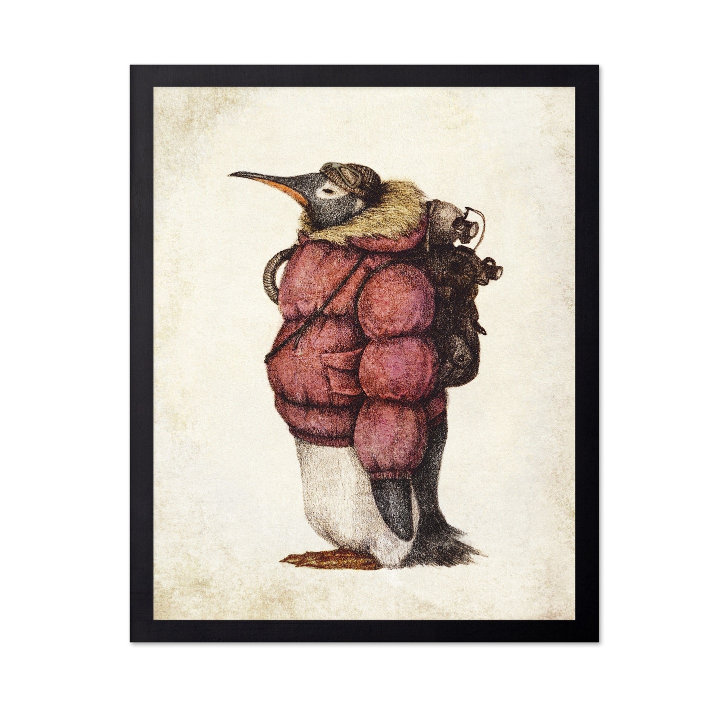 Adventurer Penguin