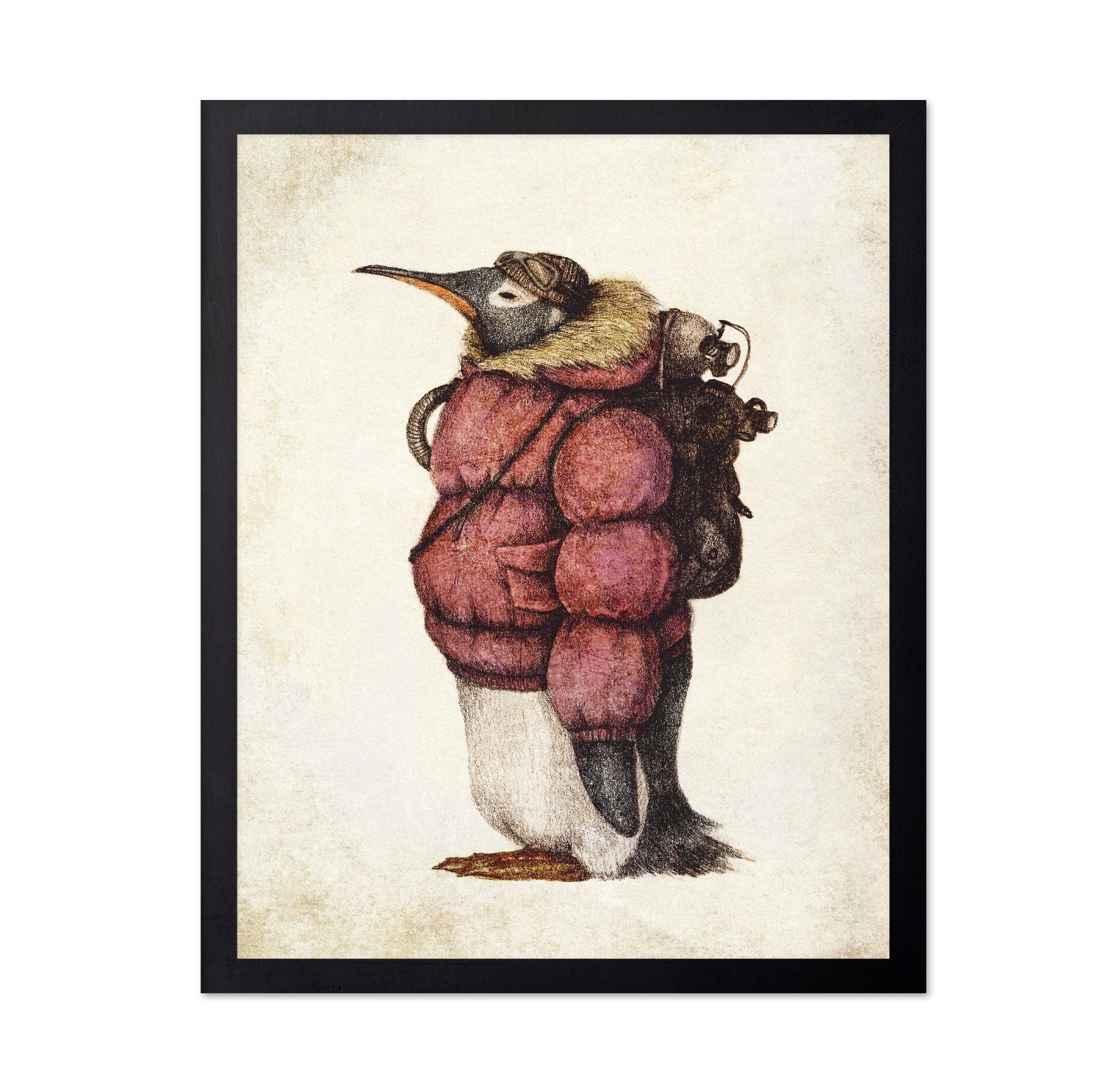 Adventurer Penguin