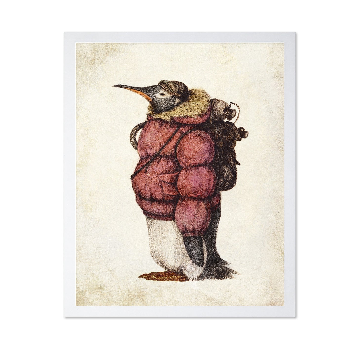 Adventurer Penguin