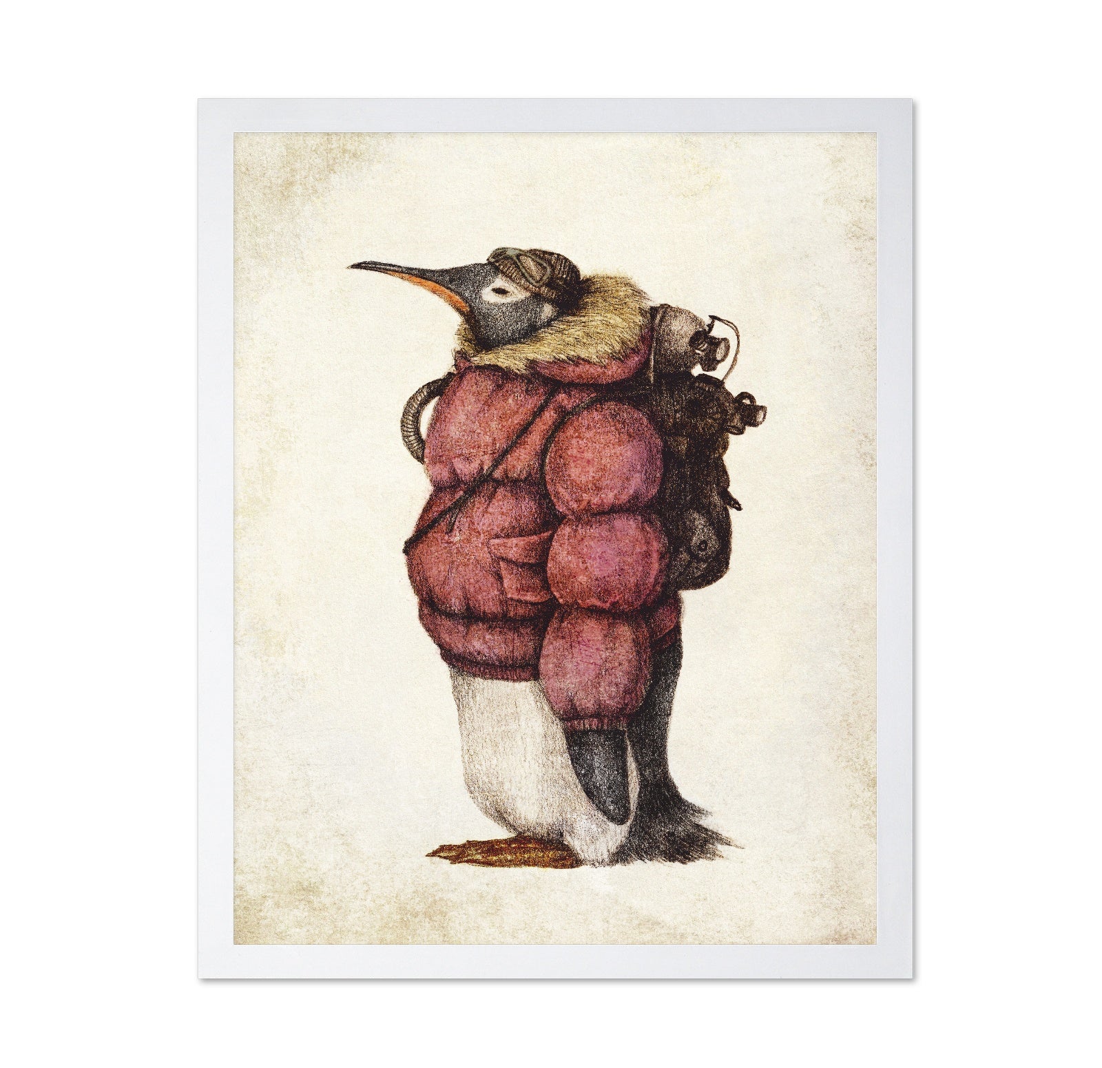 Adventurer Penguin