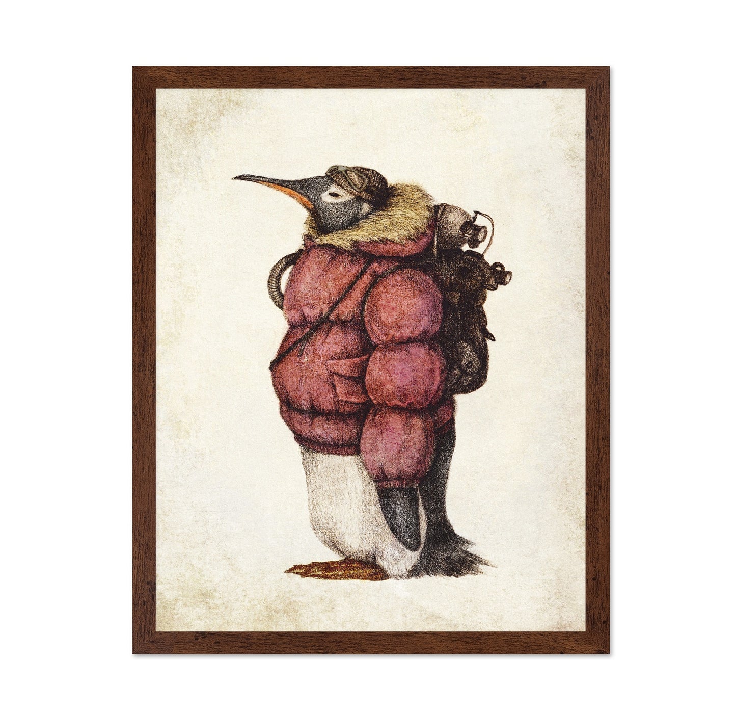 Adventurer Penguin