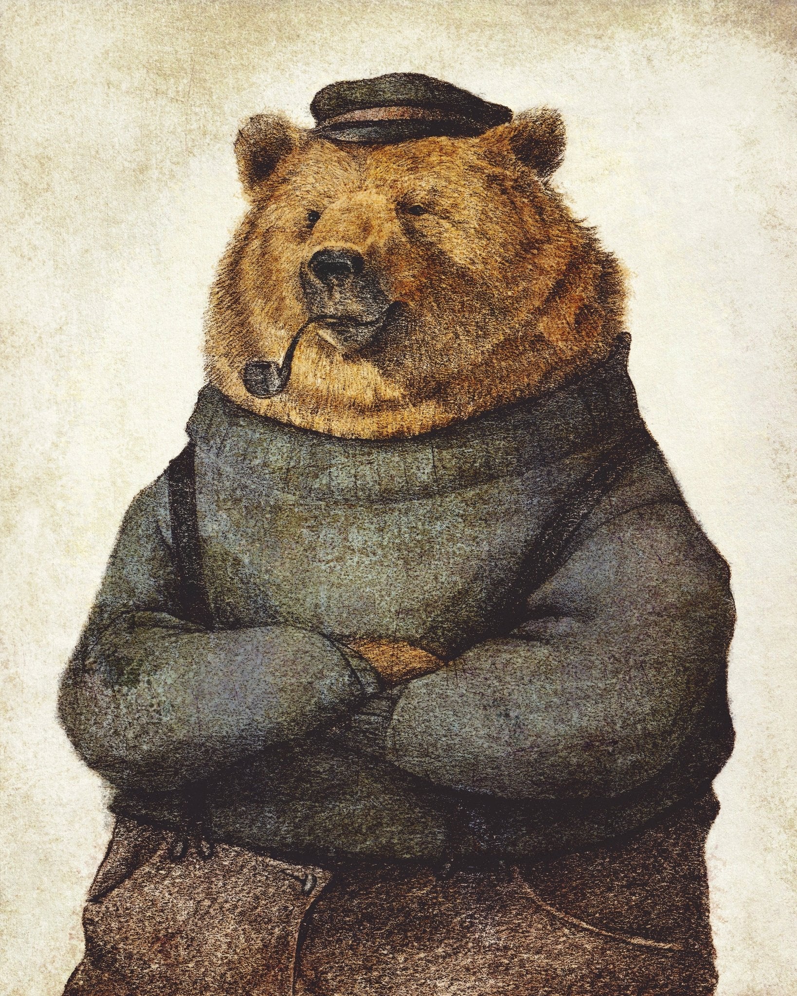Cozy Bear Portrait