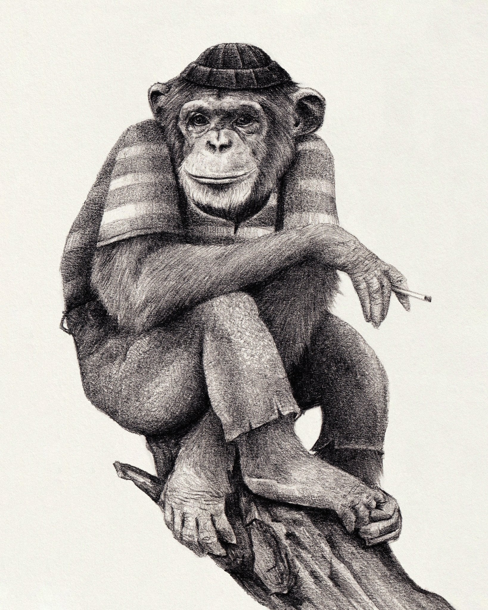 Chill Monkey